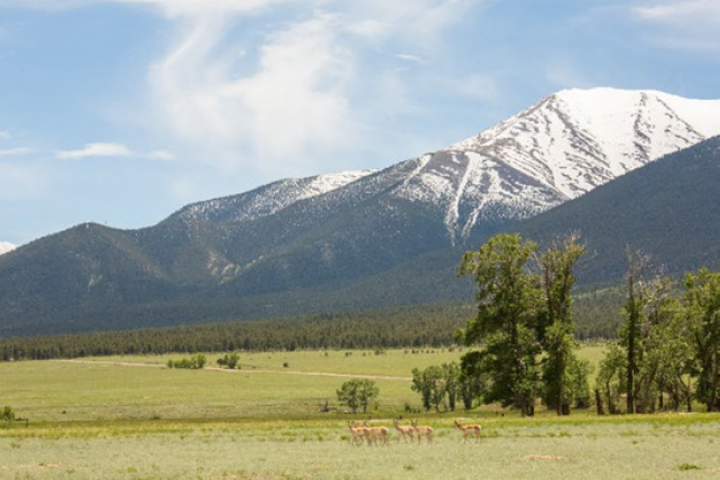 Second phase of Chaffee County ranch conserved Great Outdoors Colorado